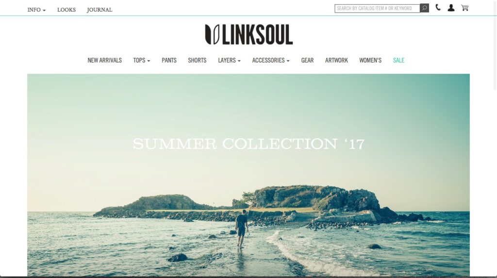 Website Screenshot Linksoul