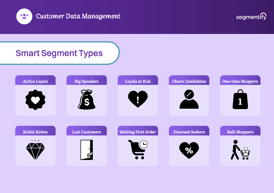 Types of online customers listed with their corresponding icons on the Segmentify dashboard.