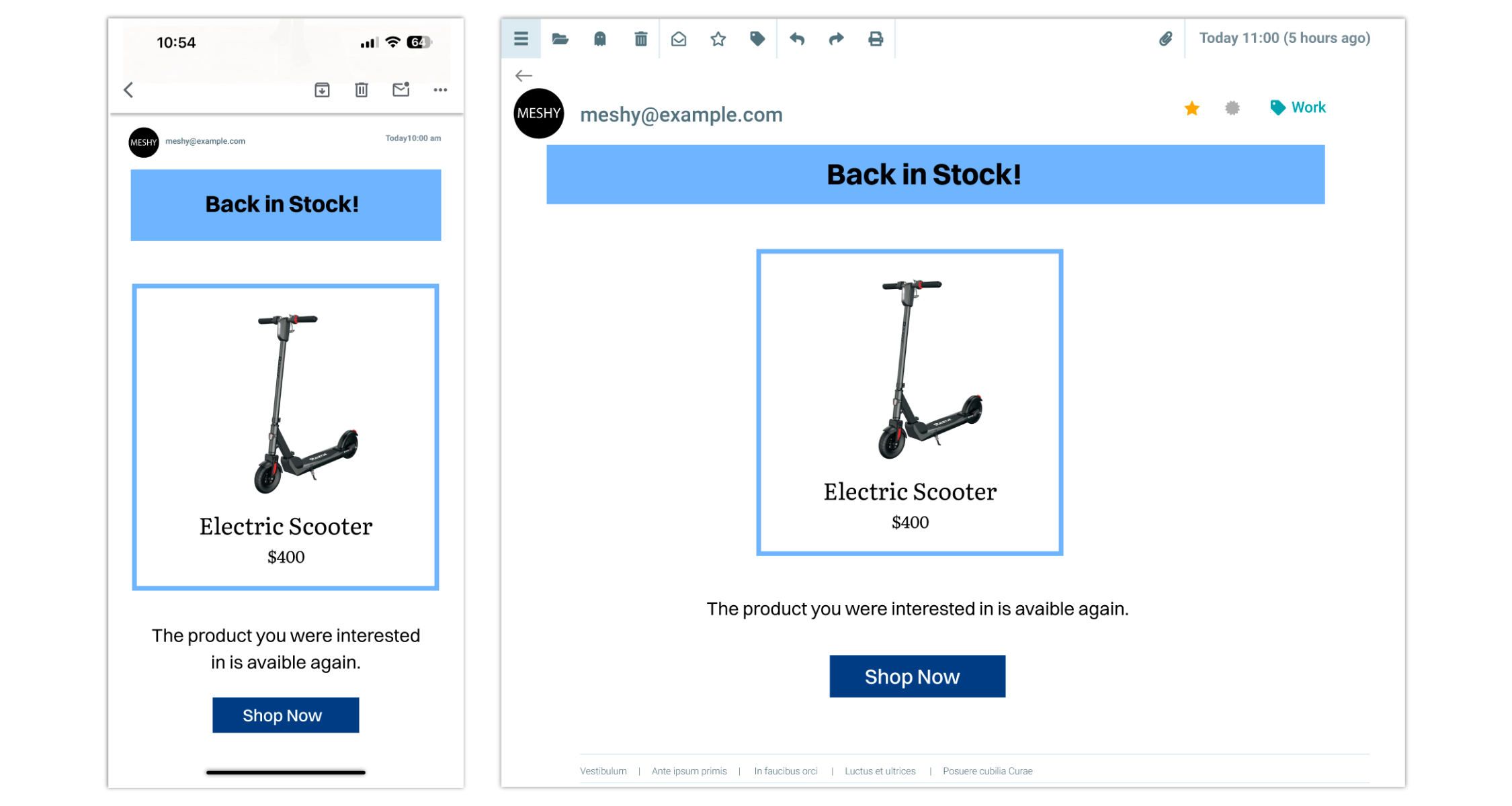 Back in Stock Email Scenario